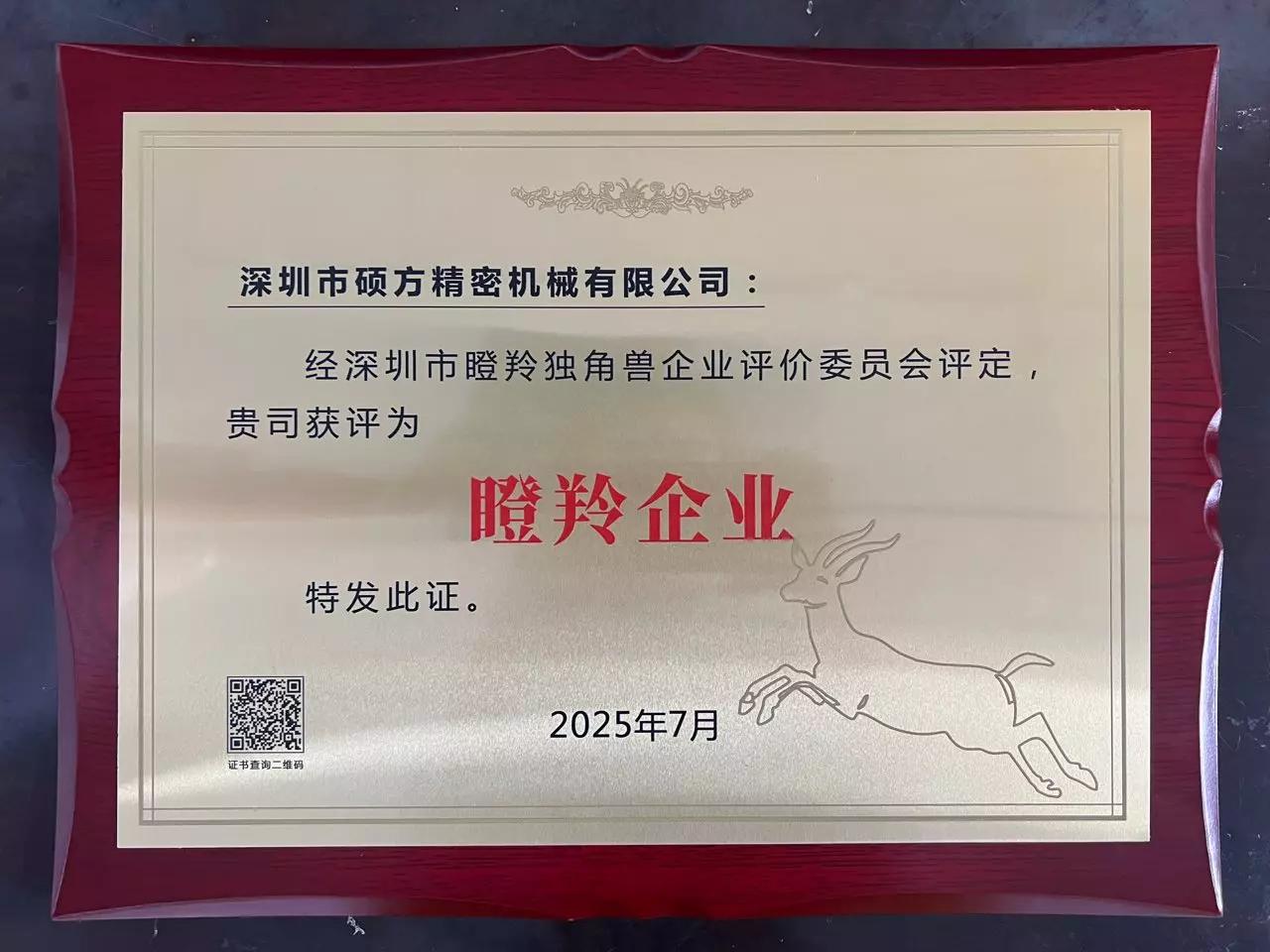瞪羚企业